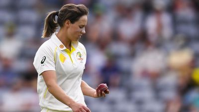 Aussie bowlers will take Ashes red-ball lesson to India