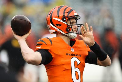 Former Bengals coach points out drop off from Joe Burrow to Jake Browning