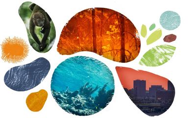 10 ways the climate crisis and nature loss are linked