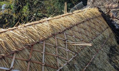 Country diary: Thatching in the rain is unpleasant, but not impossible