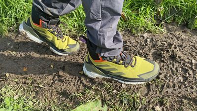 Adidas Terrex Free Hiker GTX Hiking Shoes 2.0 review: boots with bounce