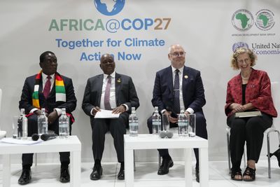 What is Africa’s goal at COP28 as the climate summit begins?
