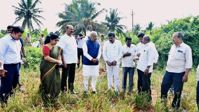 K.J. George visits drought-hit agri fields in Kadur taluk