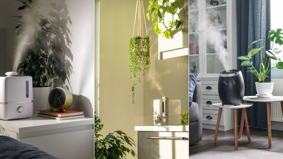 How to clean a humidifier without vinegar, according to air quality pros