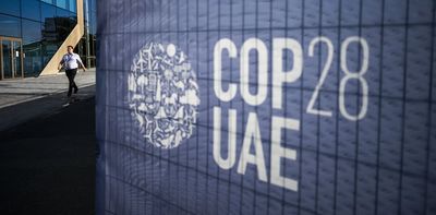 Climate change: 3 key goals Nigeria must focus on at COP28
