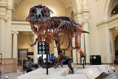 Inheritance money in dispute after death of woman who made millions off sale of T-rex remains