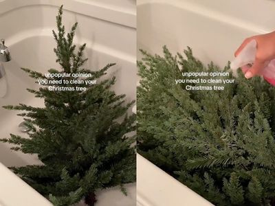 Should you clean your Christmas tree? Woman baffles internet after washing tree in her bathtub