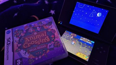 Buying a preowned copy of Animal Crossing: Wild World emotionally destroyed me