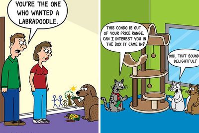 Only Cat And Dog Owners Might Truly Understand These 75 New Cartoons By The Artist Scott Metzger