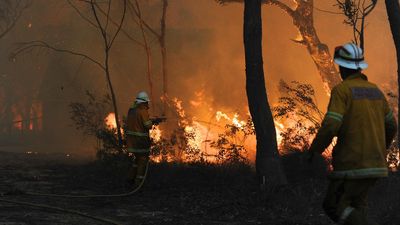 Dire warning as Australia braces for summer bushfires