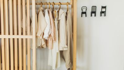 How to clean a small closet — 7 expert-approved tips