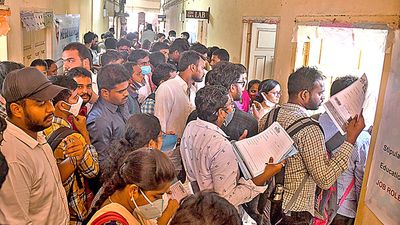 Unemployment rate in urban areas has come down: survey