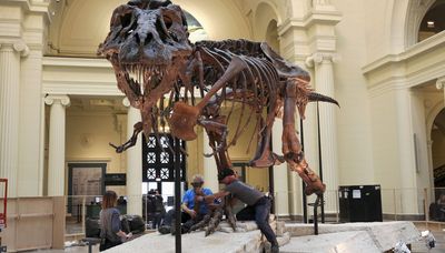 Inheritance money in dispute after death of woman who made millions off sale of T-rex remains
