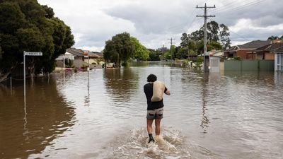 Climate disaster to cost $185b as biodiversity declines