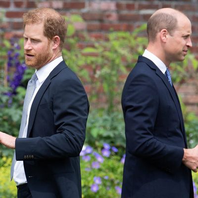 Prince William and Prince Harry Will Probably Only See One Another for One Occasion Henceforth