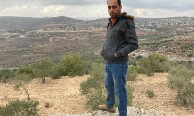 ‘No work and no olives’: harvest rots as West Bank farmers cut off from trees
