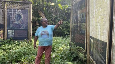 Quilombolas: The Afro Brazilians serving as guardians of the forests