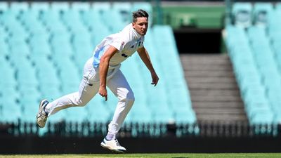 NSW shock Tigers in Shield as 24 wickets fall in a day