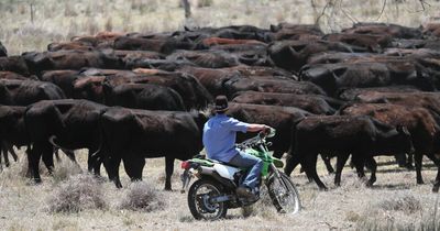 Out of water in three years: New plan sets out Hunter drought response