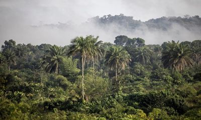The new ‘scramble for Africa’: how a UAE sheikh quietly made carbon deals for forests bigger than UK