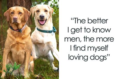 I Created A “Motivational Dog Quotes” Series To Help All Dog Lovers Laugh And Smile Together (12 New Pics)