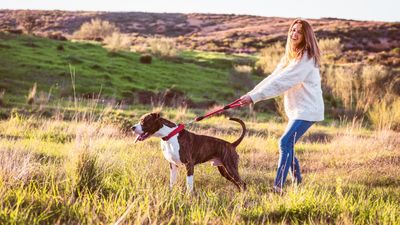 Here’s what to do when training your dog to walk well on a leash