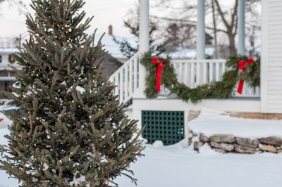 How can I make my backyard look more Christmassy? 9 ways to spread the holiday cheer outside your home