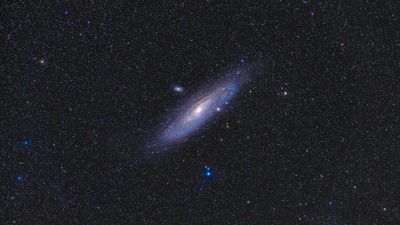 Our neighbor the Andromeda Galaxy shines overhead this week. Here's how to see it