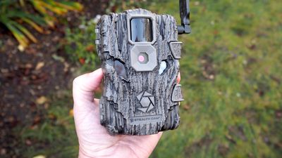 Stealth Cam Fusion Global cellular trail cam review