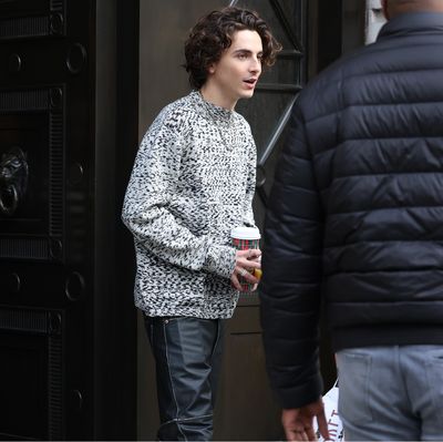 Timothée Chalamet's Leather Pants Are, For Sure, Kylie-Approved