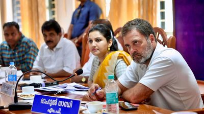 Expedite steps to complete centrally sponsored projects, says Rahul