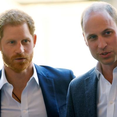 Prince William is Jealous of Prince Harry’s Ability to “Break Away” from the Royal Establishment, Omid Scobie Writes