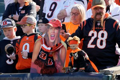 Bengals fans are loving their breakout players despite bad season so far