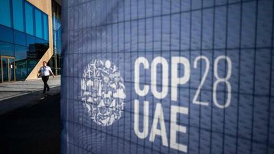 Bihar to showcase afforestation initiatives at COP28 in Dubai on December 2 to combat climate change