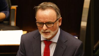 Labor national executive blocks former Tas leader