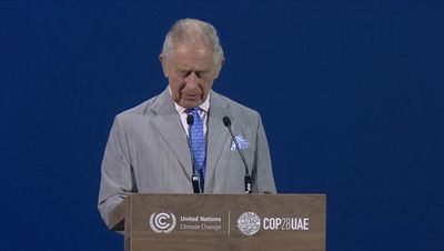 Charles issues Cop28 rallying cry telling leaders: 'The Earth does not belong to us, we belong to the Earth'