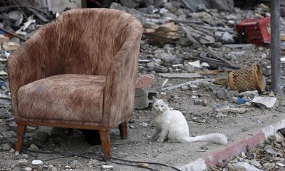 Gaza diary, part 29: finding love and a break from death in times of ceasefire