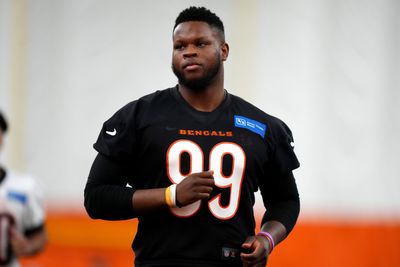 Bengals news: Tee Higgins update, Joe Burrow at the card table and breakout rookies