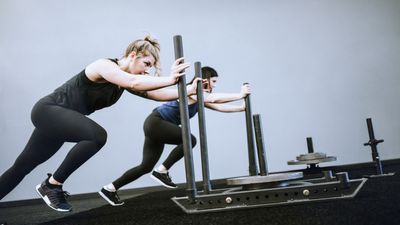 Sled training workout plan for beginners: 8-week challenge