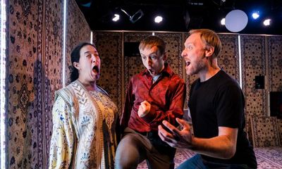 A Woman Walks into a Bank review – tricksy Russian tragicomedy with a talking cat