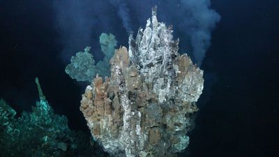 Enormous hydrothermal vent field with ancient, 50-foot tall chimneys discovered near underwater volcano