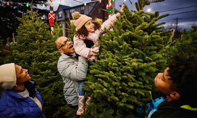 Christmas tree prices are rising in the UK – here’s how to get the best deals