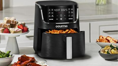 Gourmia 4-Quart Digital Air Fryer review