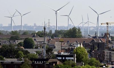 Belgian court orders 55% emissions cut from 1990 levels