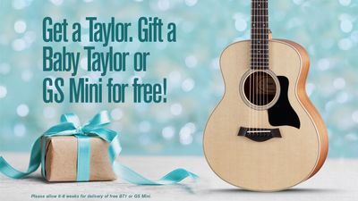 Buy a Taylor guitar and get a second one absolutely free