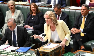 The week in parliament: things get ugly on immigration detention with political blood spilled on both sides