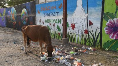 World Bank recalls paper on decline in toilet usage in India