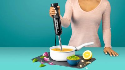 Nutribullet immersion blender review – a basic, bargain blender