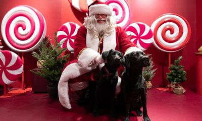 ‘Eccentric doesn’t cover it’: dogs visit Santa Paws at John Lewis’s pet grotto