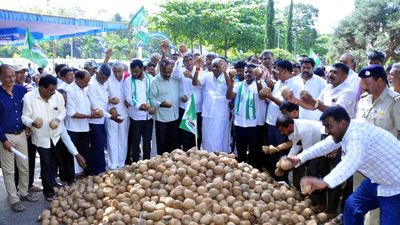 JD(S) leaders, and workers stage protest in Hassan; demand suitable support price for copra